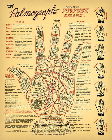Palmistry: A Witch's Tool for Reading Energy and Predicting the Future